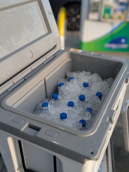 PXL_20250526_113012850.PORTRAIT