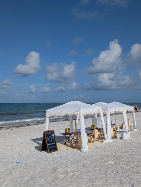 PXL_20250607_131520794.PORTRAIT