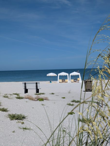 PXL_20250624_141158496.PORTRAIT.ORIGINAL