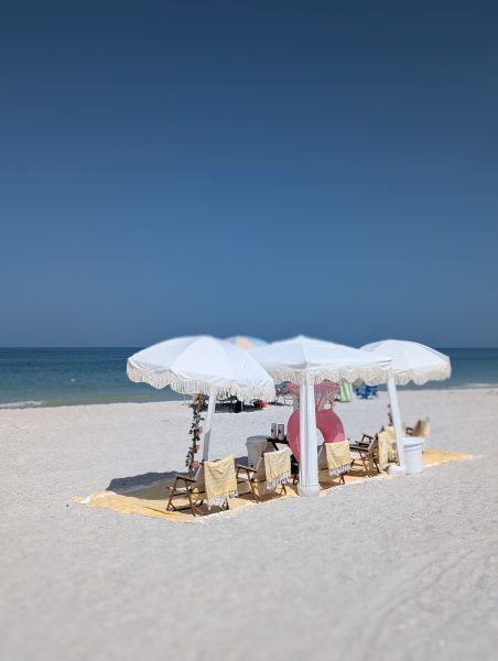 PXL_20250726_152002271.PORTRAIT