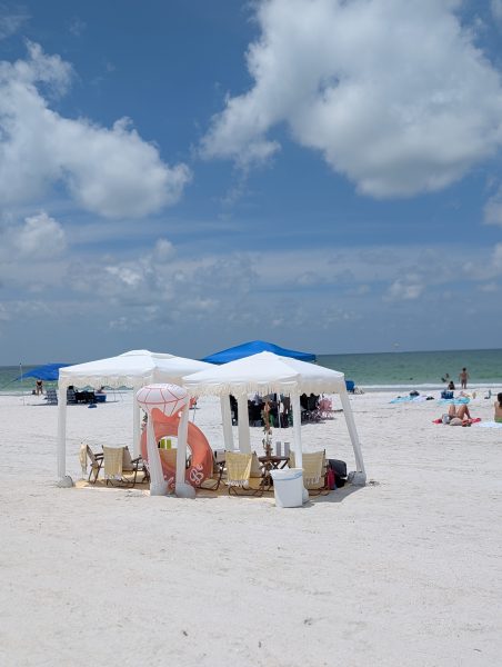 PXL_20250802_164516606.PORTRAIT